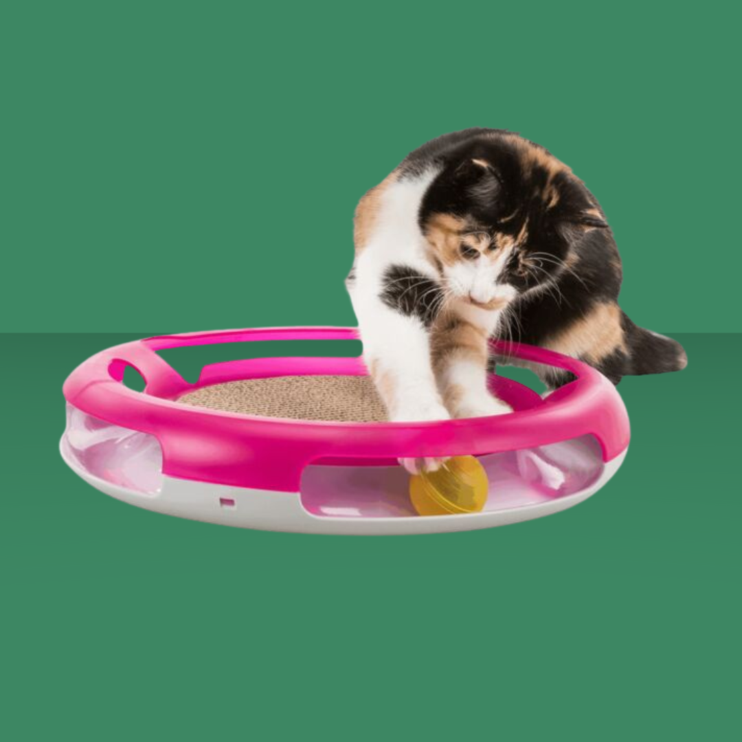 Trixie Cat Activity Race & Scratch