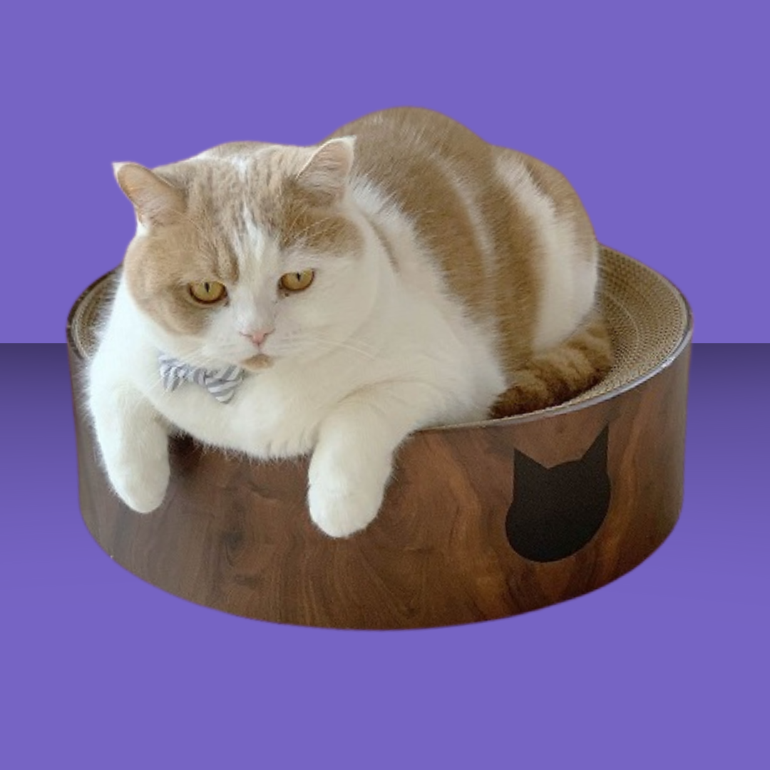 Necoichi Cozy Cat Scratcher Bowl Dark Cherry