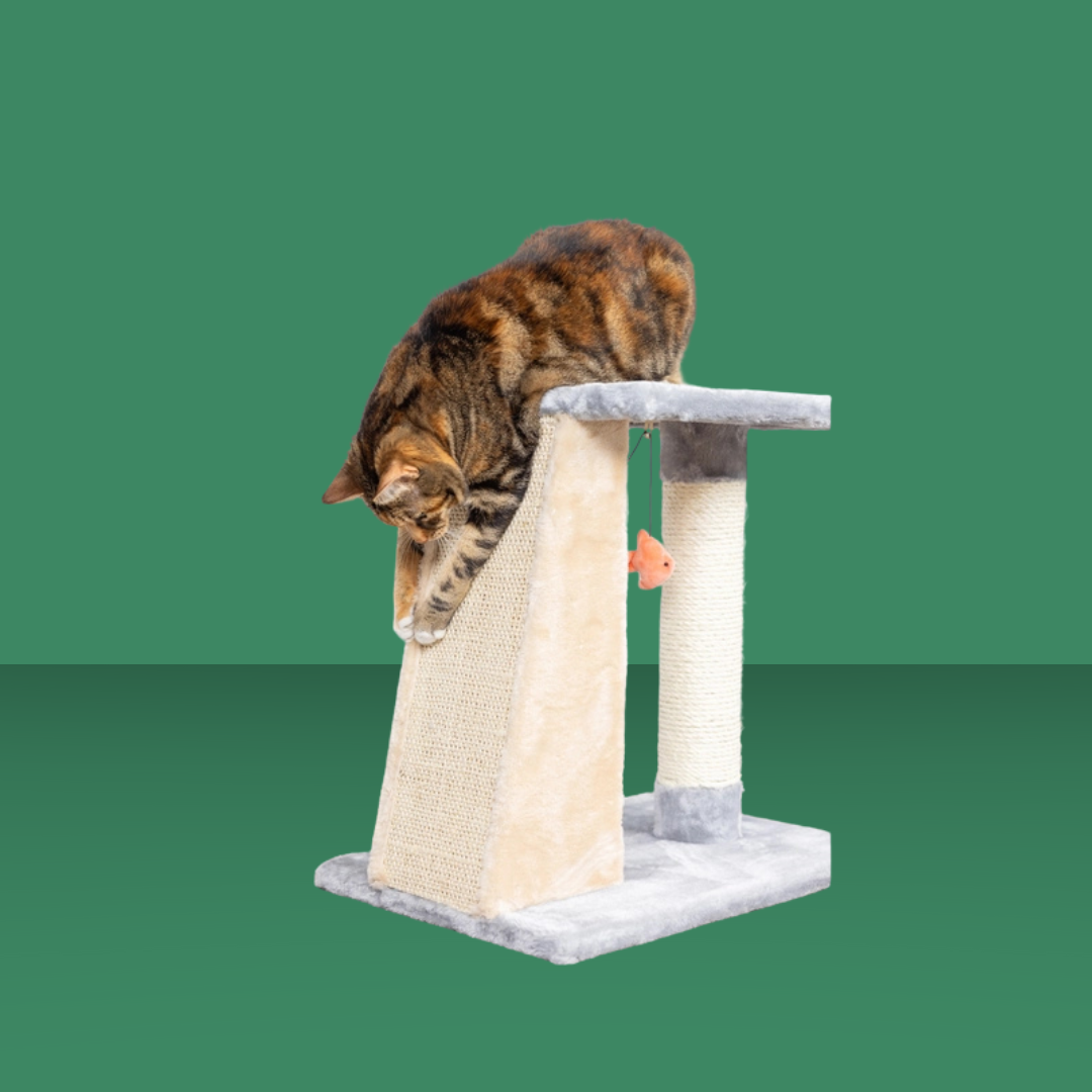 Armarkat 2 Level Platform Scratcher
