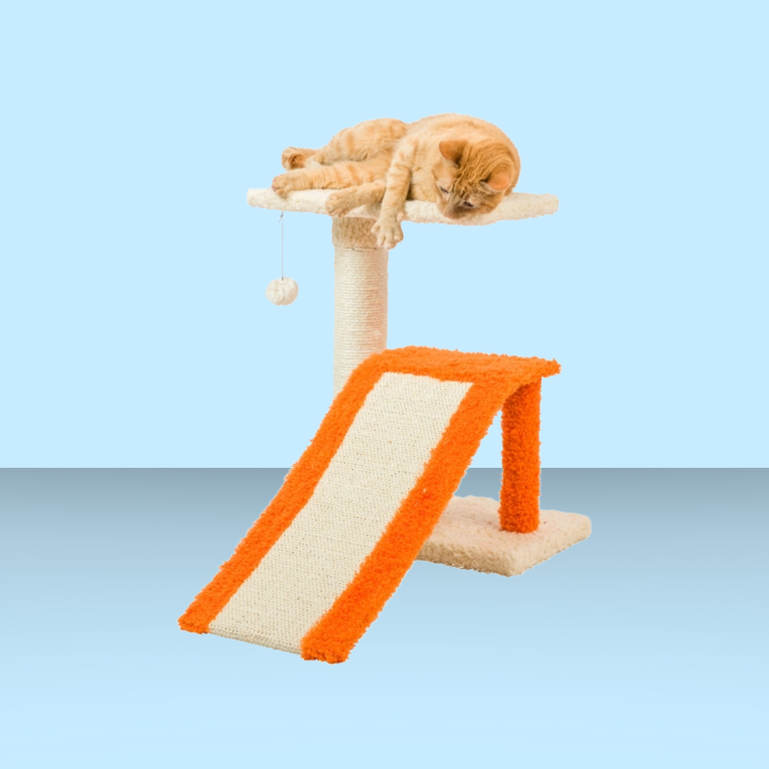 Armarkat 2 Level Platform Scratcher with Ramp