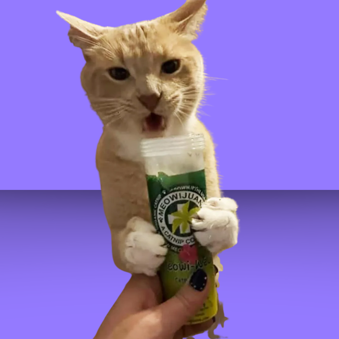 Meowijuana Catnip Blend Meowi-Waui