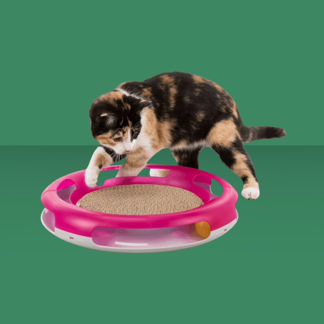 Trixie Cat Activity Race & Scratch