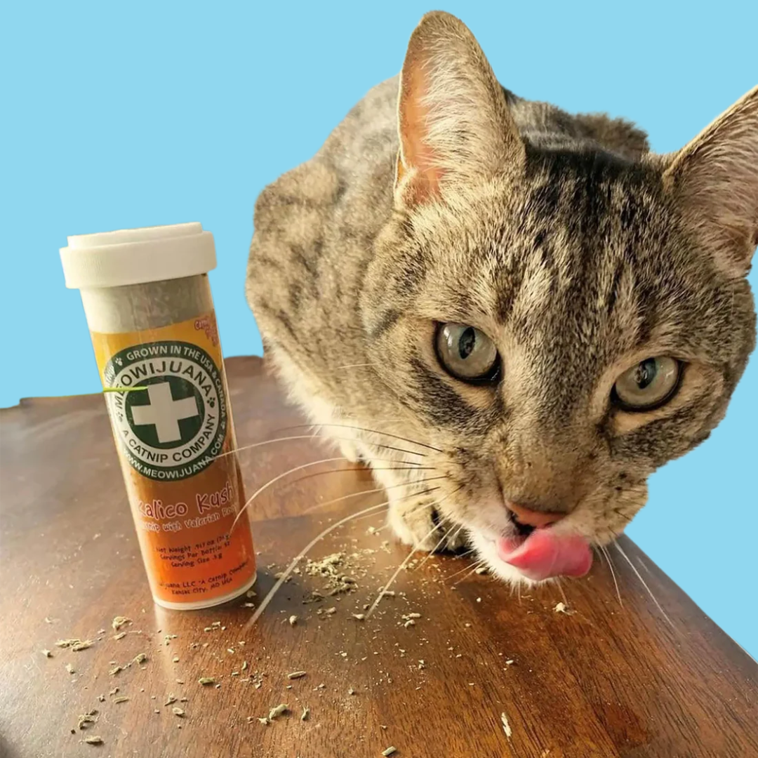 Meowijuana Catnip Blend Kalico Kush