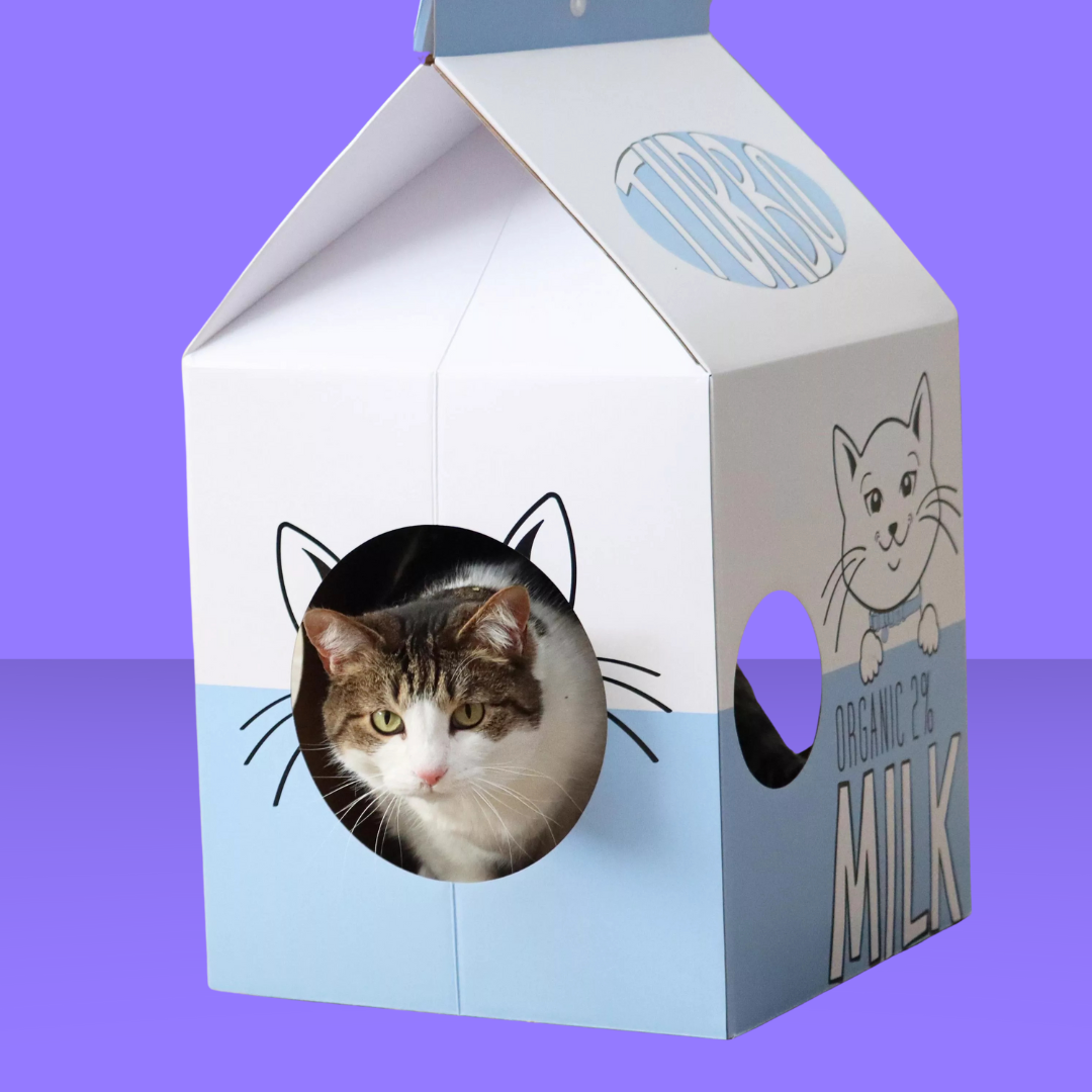 Coastal Pet Scratcher Milk Carton